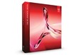 Adobe Acrobat Professional 10
