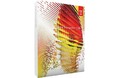 Adobe Fireworks CS6