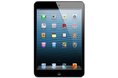 iPad mini with WiFi + Cellular - 32GB - Black